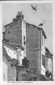 CONSTANTINE ET SES CIGOGNES